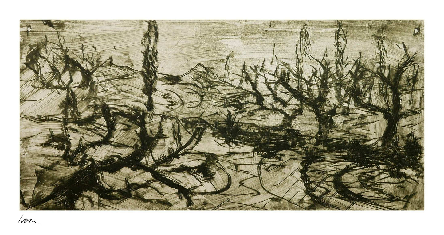 December Winter Field No. 3