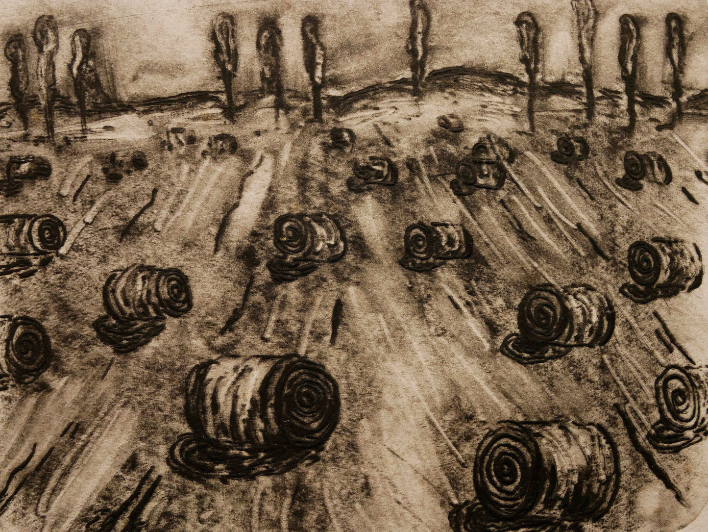 Field with Hay Bales no. 1