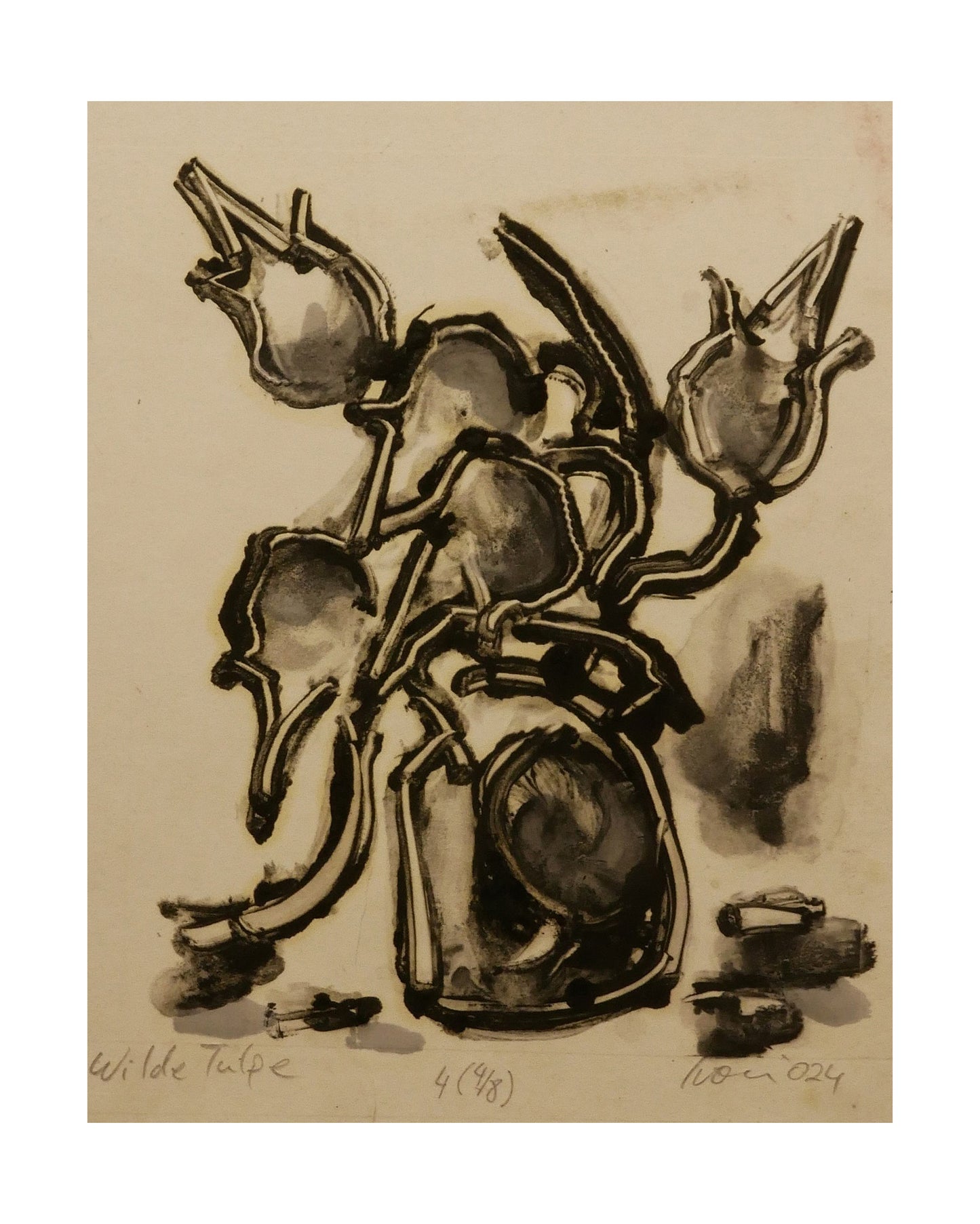 Tulipes sauvages 4