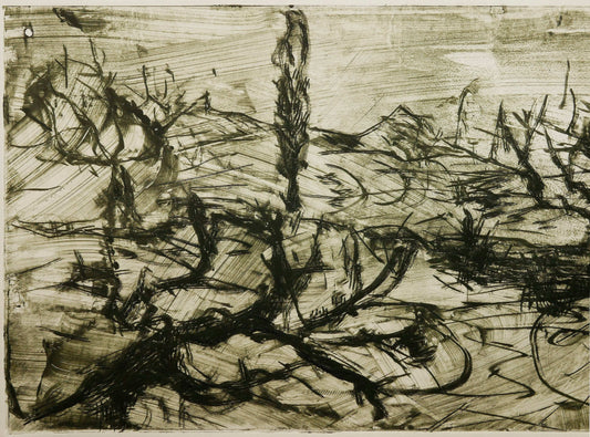 December Winter Field No. 3