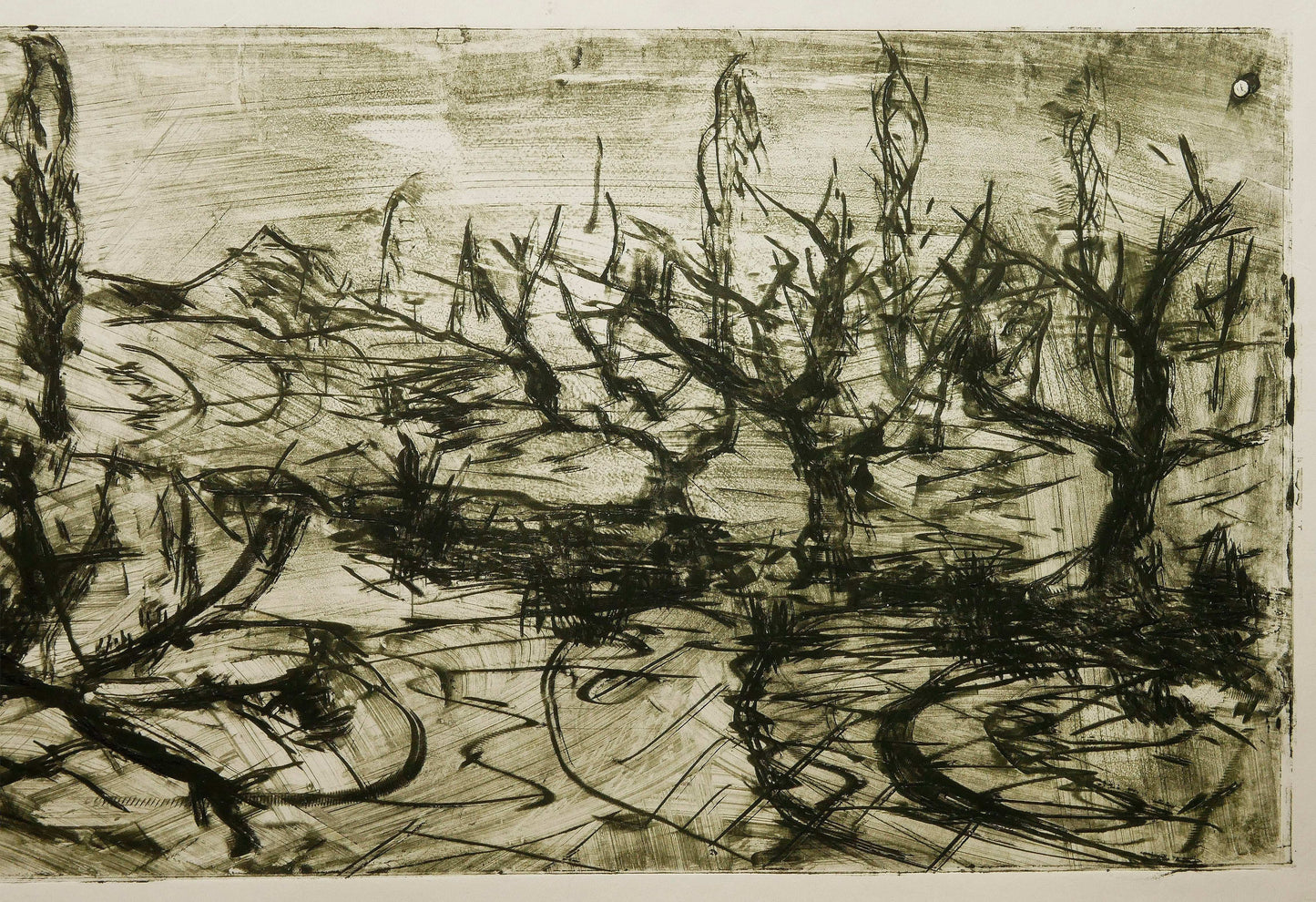 December Winter Field No. 3