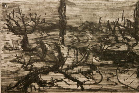 December Winter Field No. 1