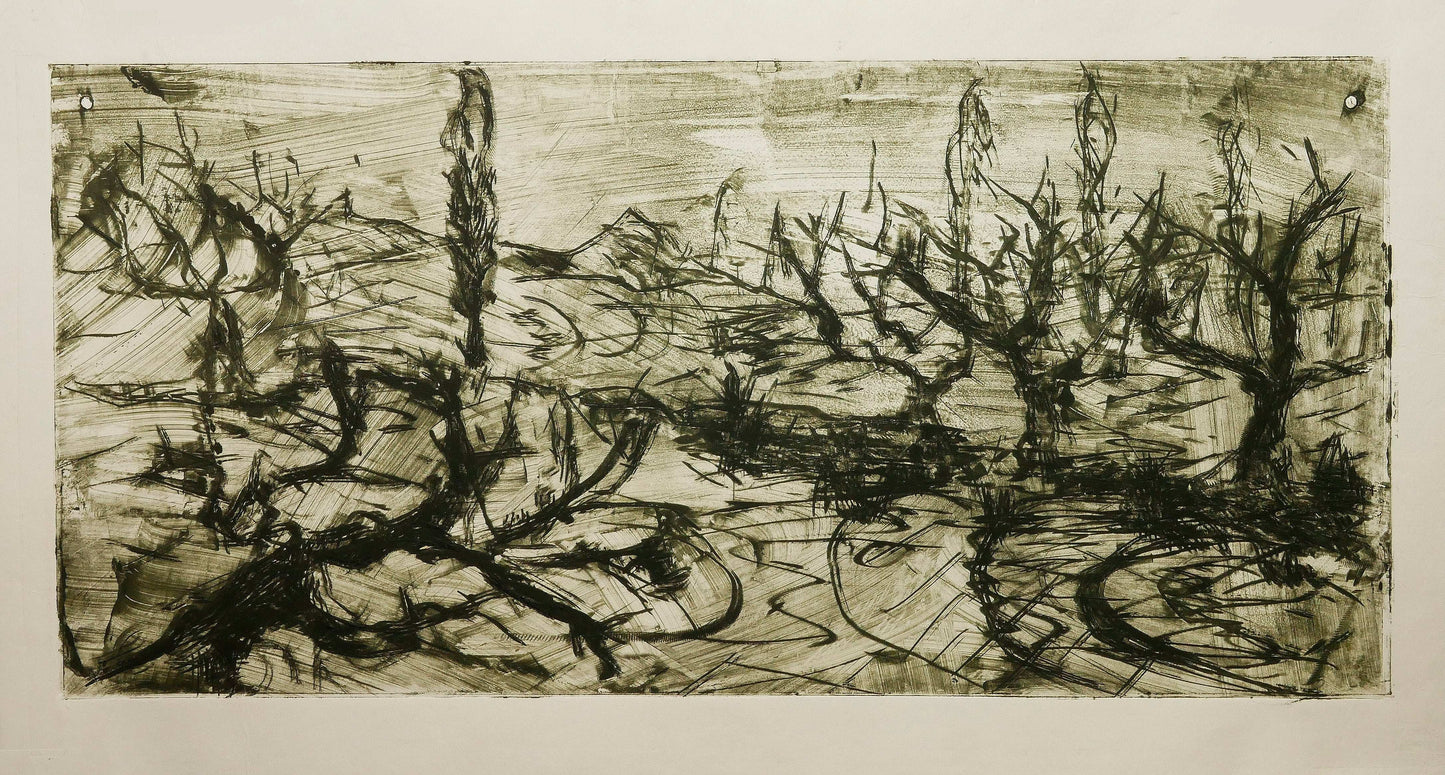 December Winter Field No. 3
