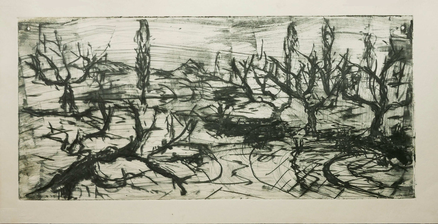 December Winter Field No. 4