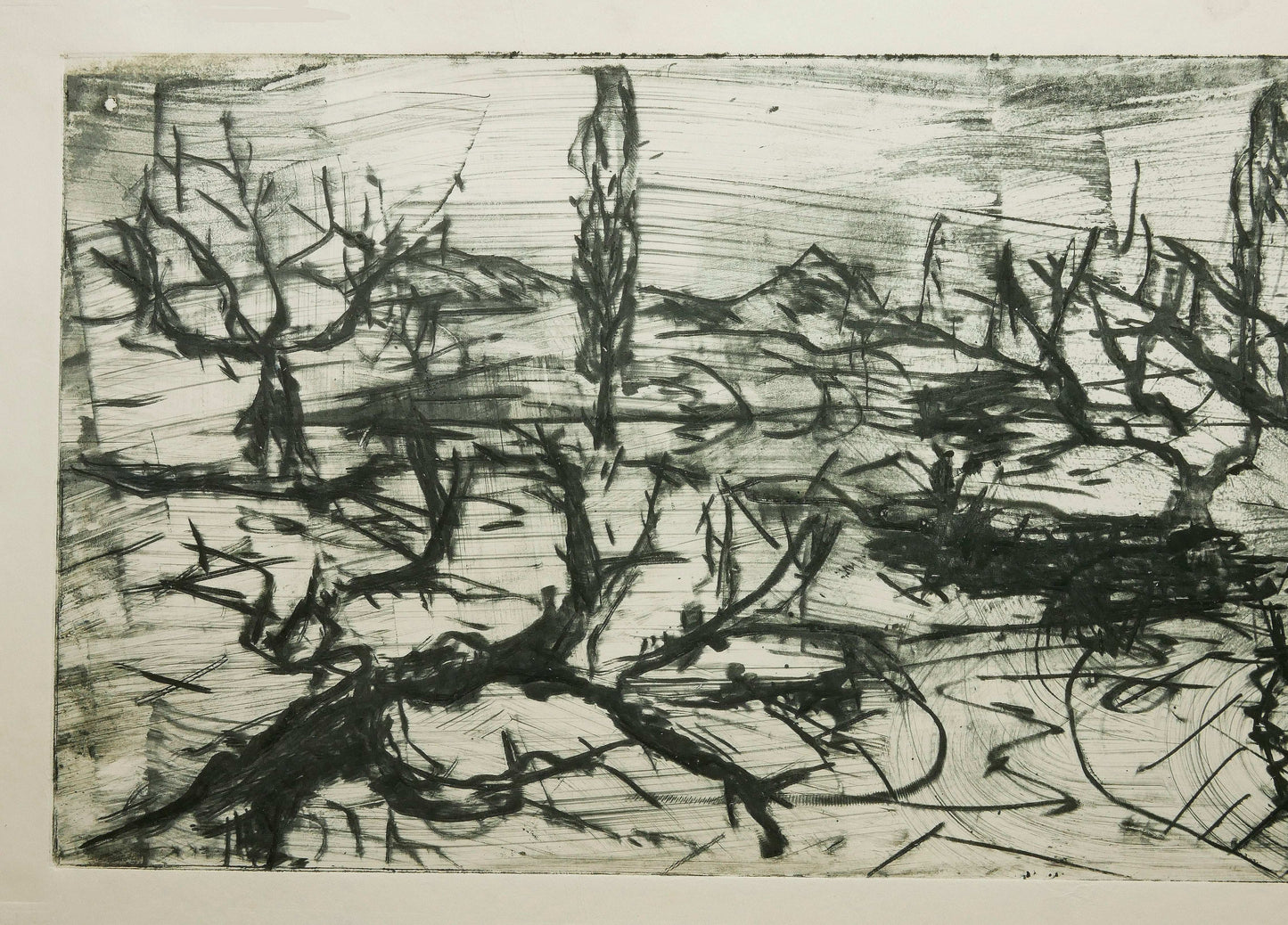 December Winter Field No. 4