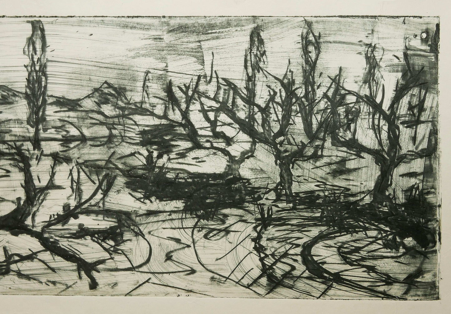 December Winter Field No. 4