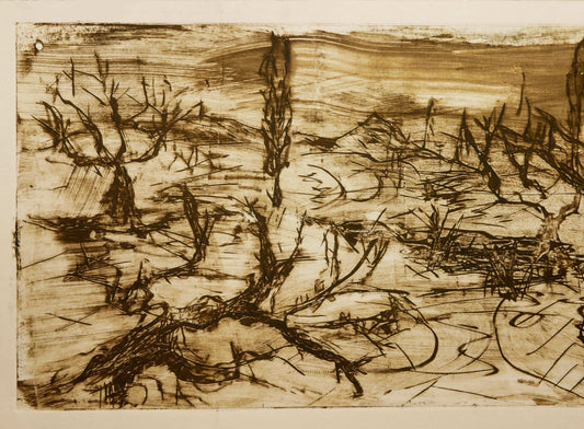 December Winter Field No. 5