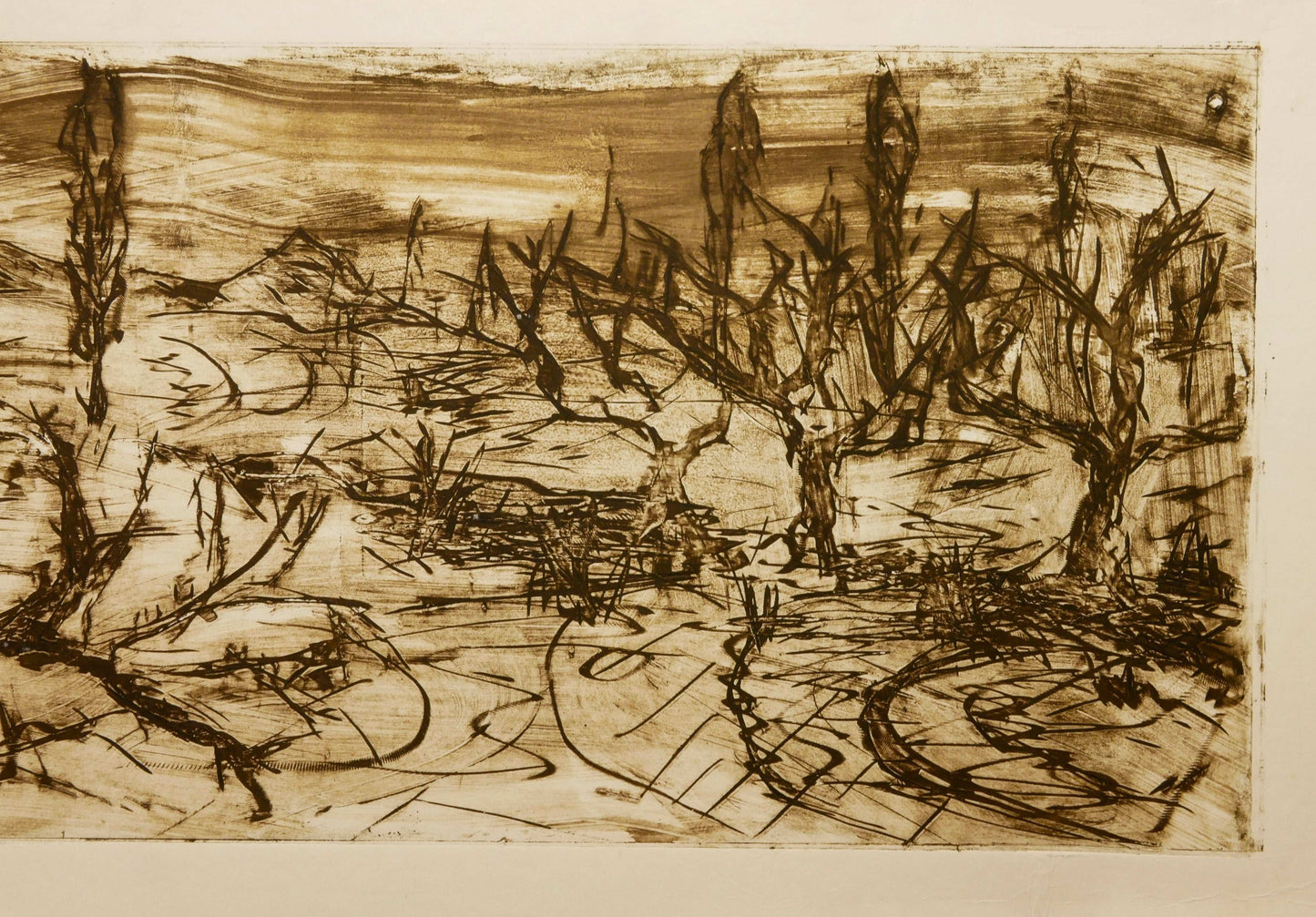 December Winter Field No. 5