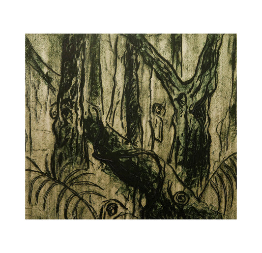 Canadian West Coast No 2 / Spirits inside the forest