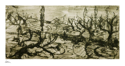 December Winter Field No. 3