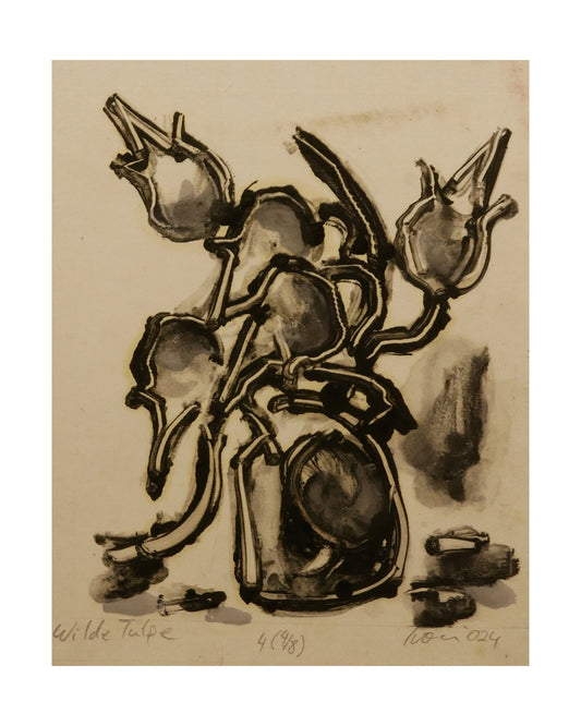 Tulipes sauvages 4
