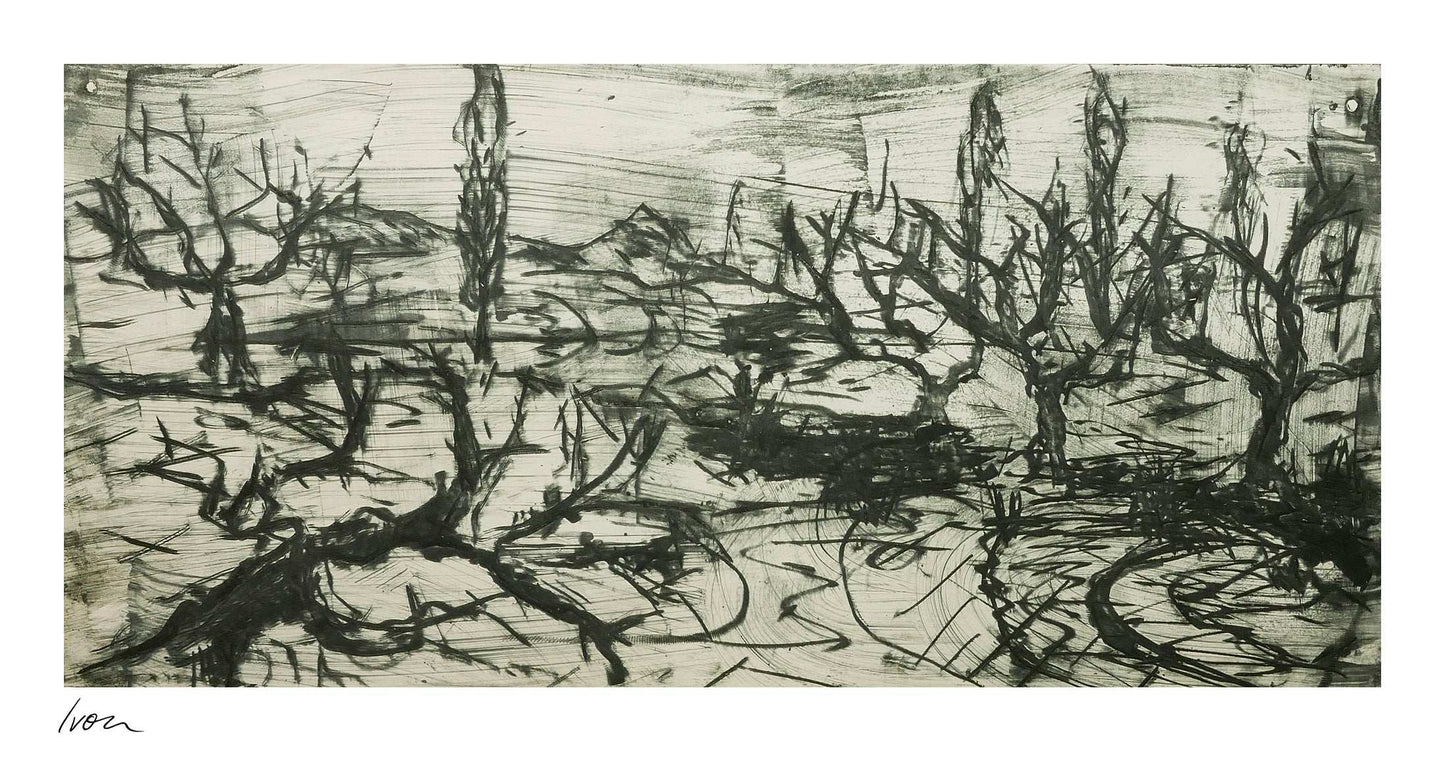 December Winter Field No. 4