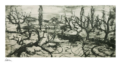 December Winter Field No. 4