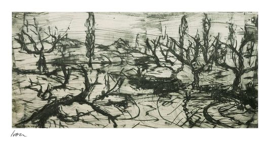 December Winter Field No. 4
