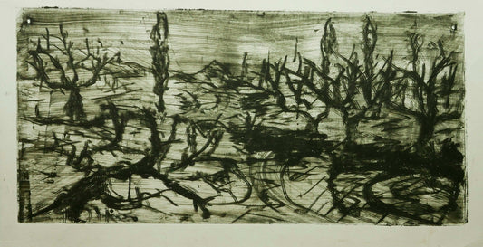 December Winter Field No. 2