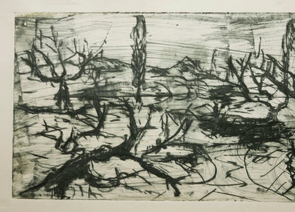 December Winter Field No. 4