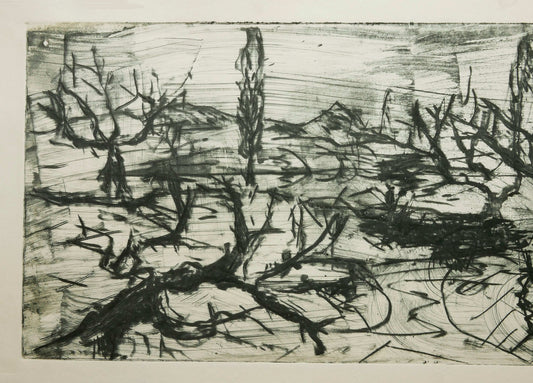 December Winter Field No. 4
