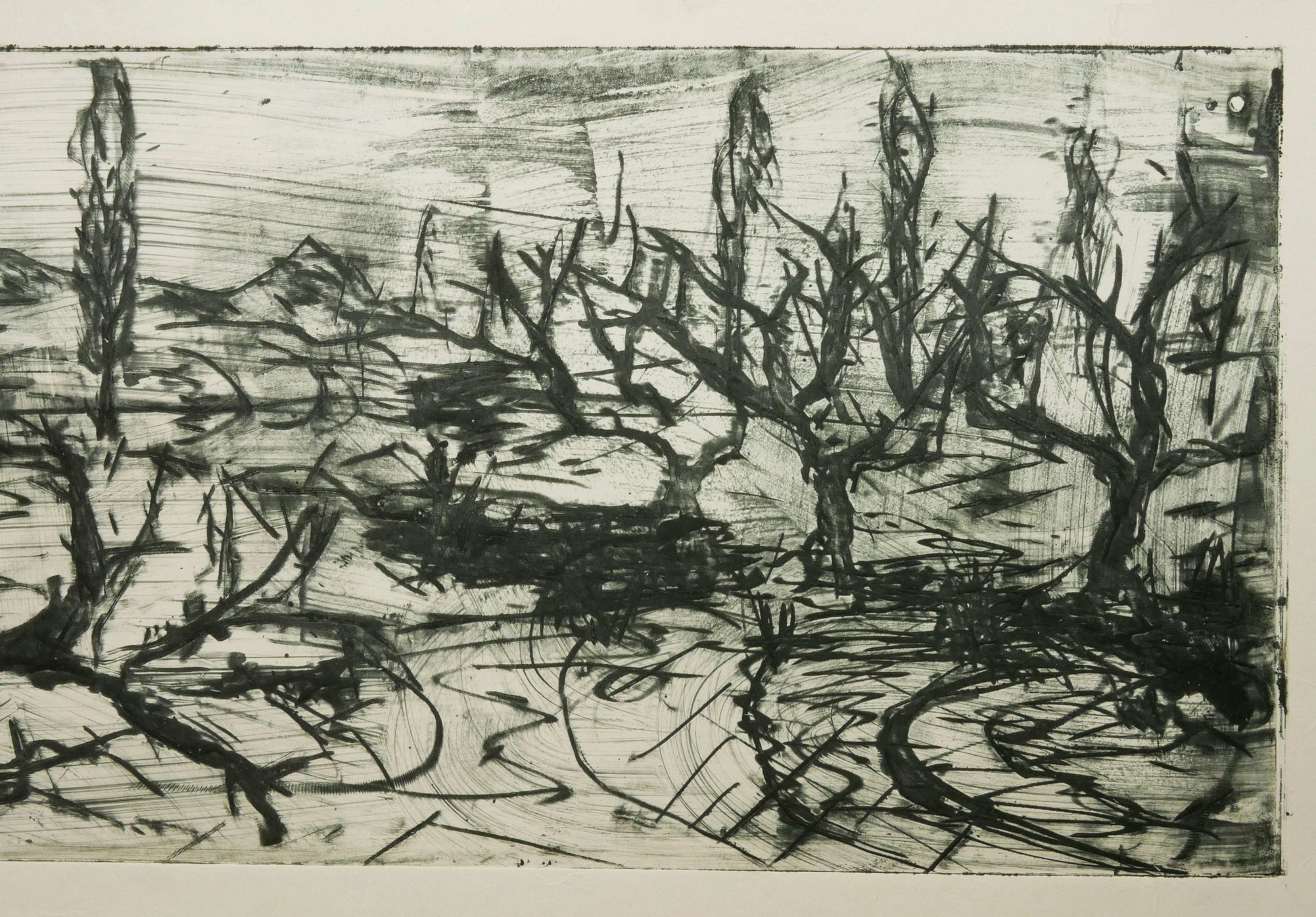 December Winter Field No. 4