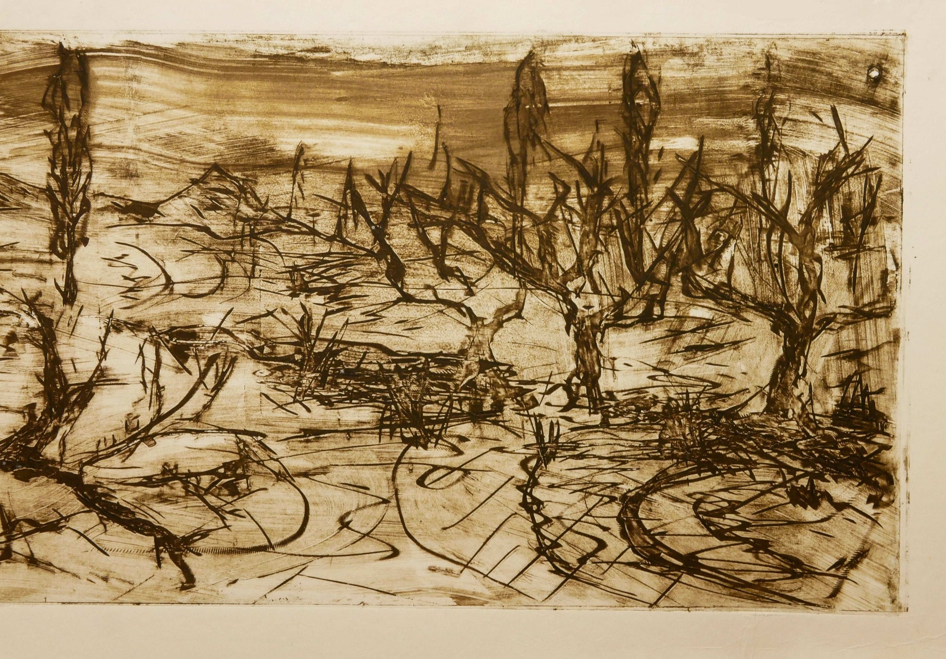 December Winter Field No. 5