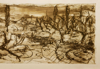 December Winter Field No. 5